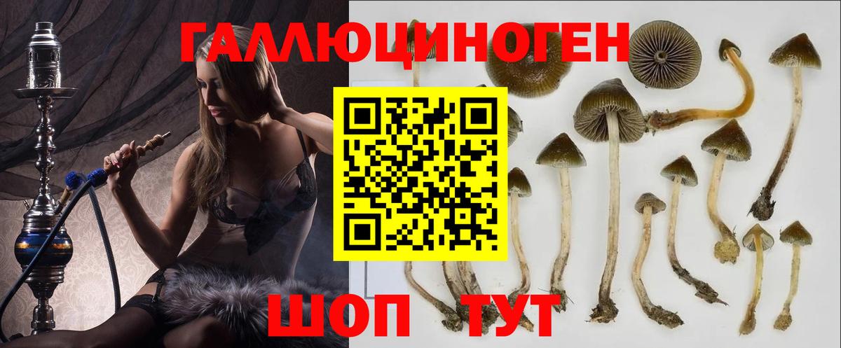 Галлюциногенные грибы Psilocybine cubensis Воткинск